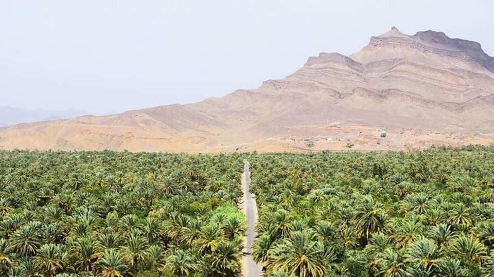 The Sahara Dunes Experience - Sirius Adventures - Morocco - Image 22