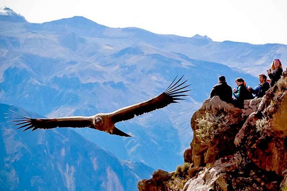3-day Colca Canyon Trek & trf Puno - Shared Room - Transp/Guide - Tangol Tours - Peru - Image 6