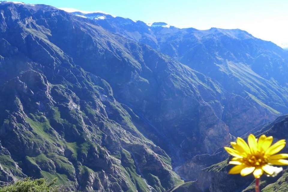 3-day Colca Canyon Trek & trf Puno - Shared Room - Transp/Guide - Tangol Tours - Peru - Image 8