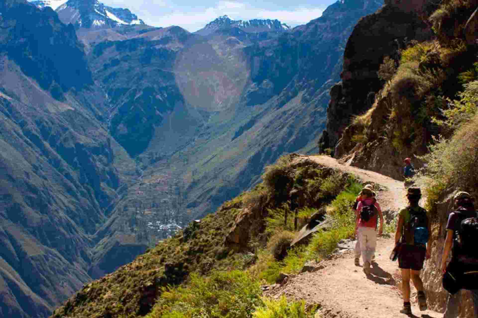 3-day Colca Canyon Trek - Shared Room - Transp/Gui