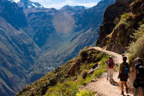 3-day Colca Canyon Trek - Shared Room - Transp/gui - February 2026