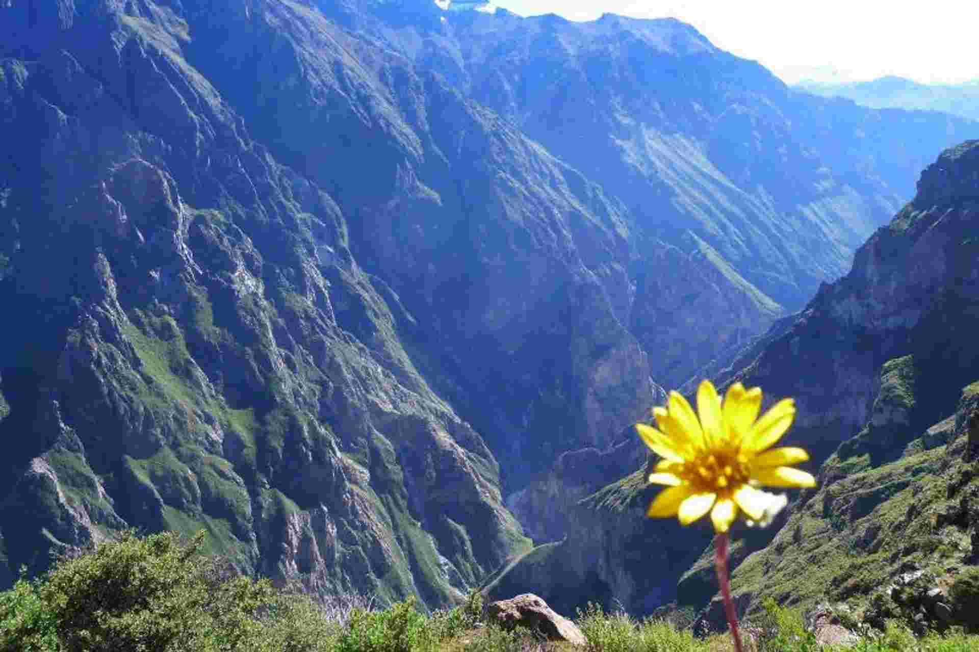 3-day Colca Canyon Trek Tour Adventure - Private Room
