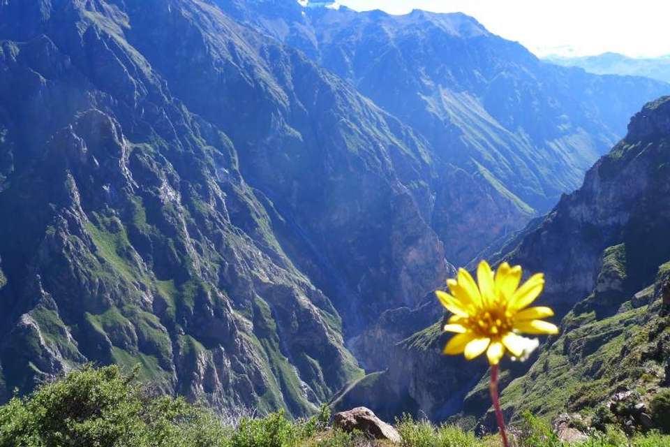 3-day Colca Canyon Trek Tour Adventure - Private Room - Tangol Tours - Peru - Image 1