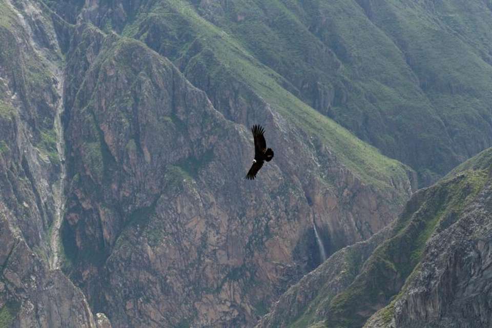 3-day Colca Canyon Trek Tour Adventure - Private Room - Tangol Tours - Peru - Image 5