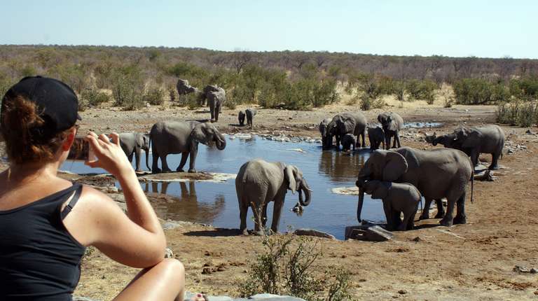 3 Day Etosha Express Lodging Safari trip - alternative tour available
