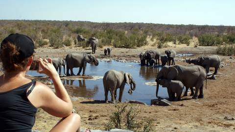 3 Day Etosha Express Lodging Safari - July 2026