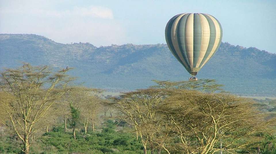 3-day maasai mara safari - Baboon Budget Safaris - Kenya - Image 4