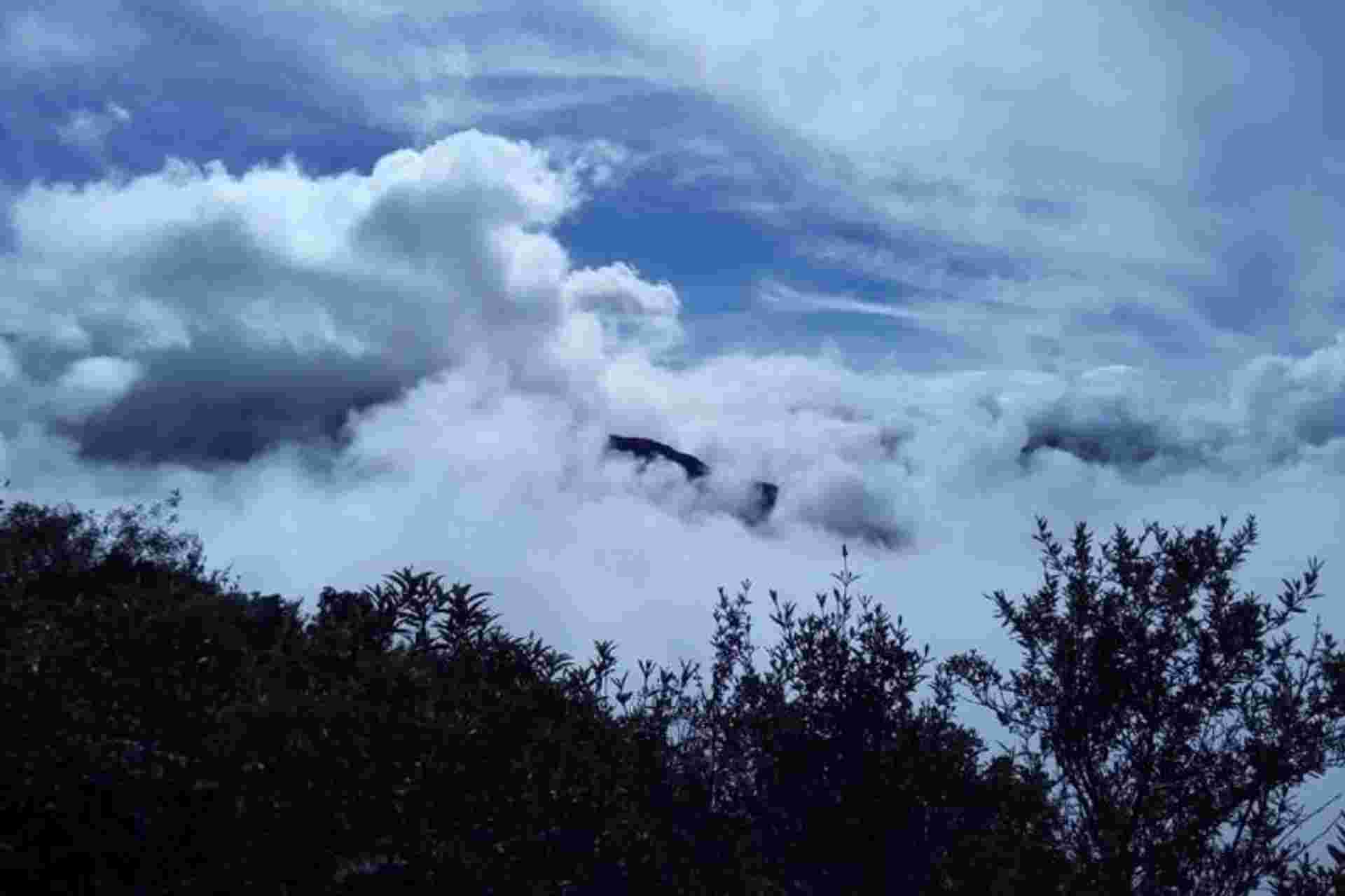 3-Day Manu National Park Tour from Cusco