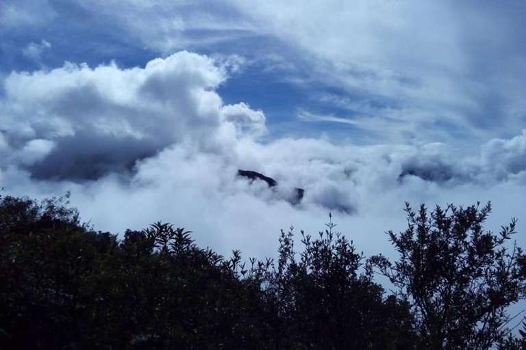 3-Day Manu National Park Tour from Cusco trip - alternative tour available