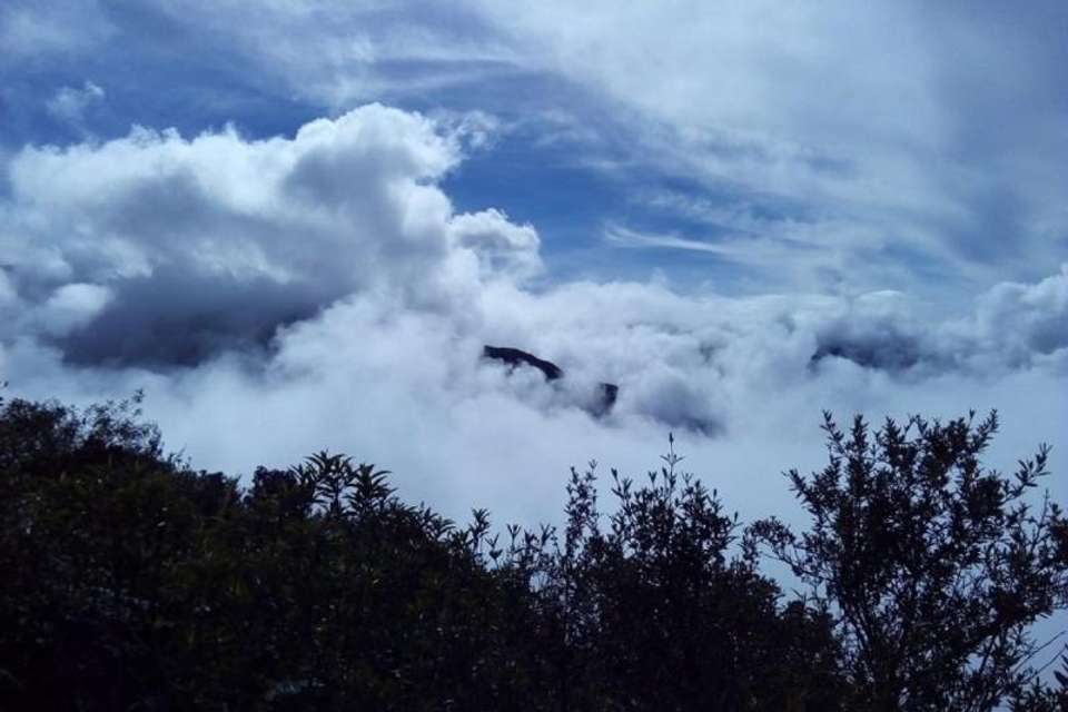 3-Day Manu National Park Tour from Cusco - Tangol Tours - Peru - Image 1