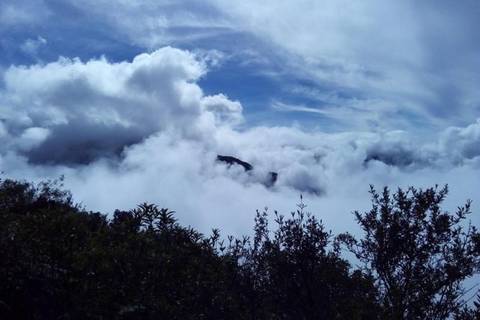 3-day Manu National Park Tour From Cusco - 3 Days