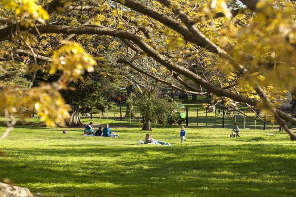 3-Day Montevideo Tour from Buenos Aires - Tangol Tours - Argentina - Image 7