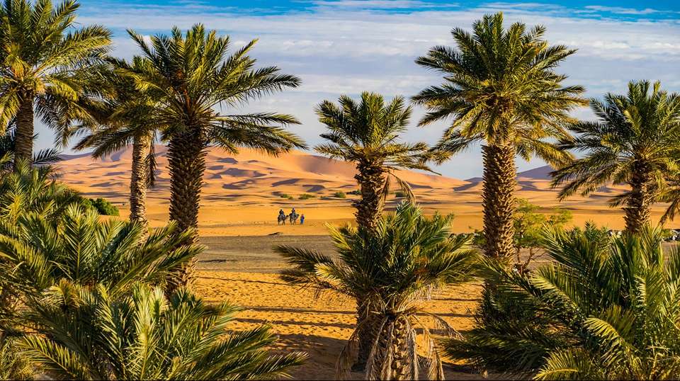 3 Day Sahara Desert Tour from Fes to Marrakech - Guided Morocco Tours - morocco