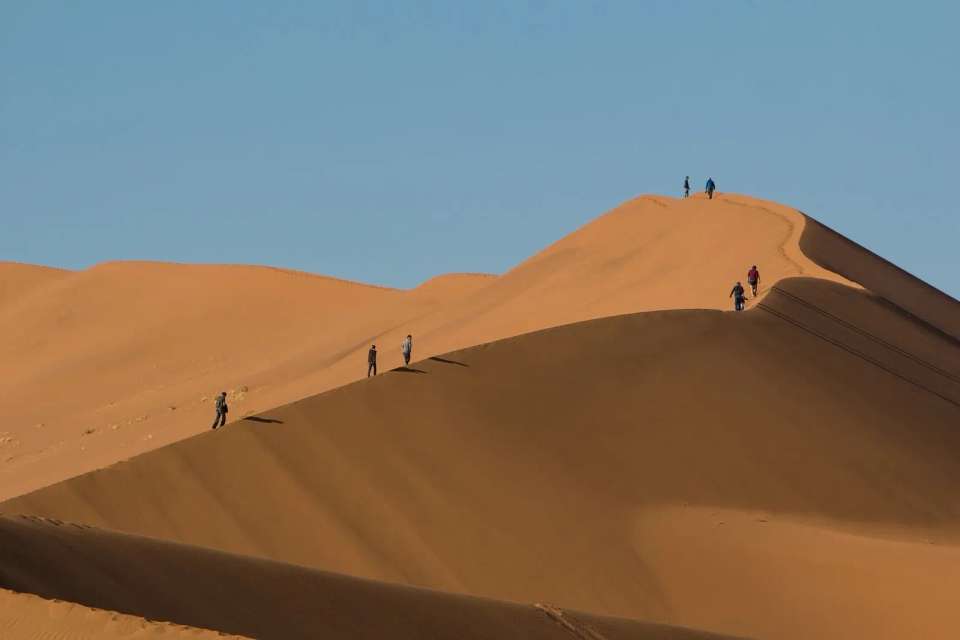 3 Day Sossusvlei Budget Camping - Chameleon Safaris Namibia - Namibia - Image 2
