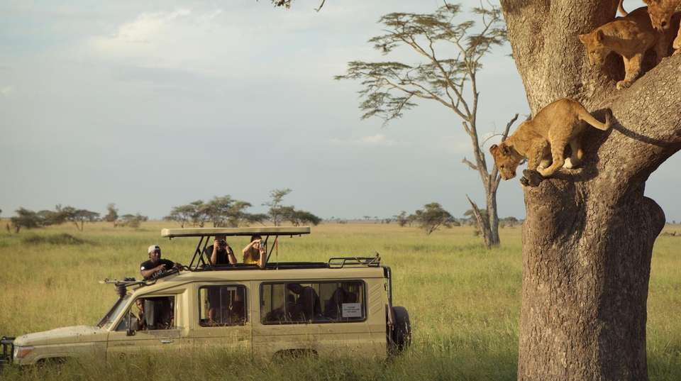 3-Day Tanzania Camping Safari - Dahlia Africa - Tanzania - Image 4