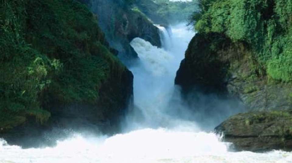 3-Day Trip To Murchison Falls - Devine African Safaris Ltd - Uganda - Image 3