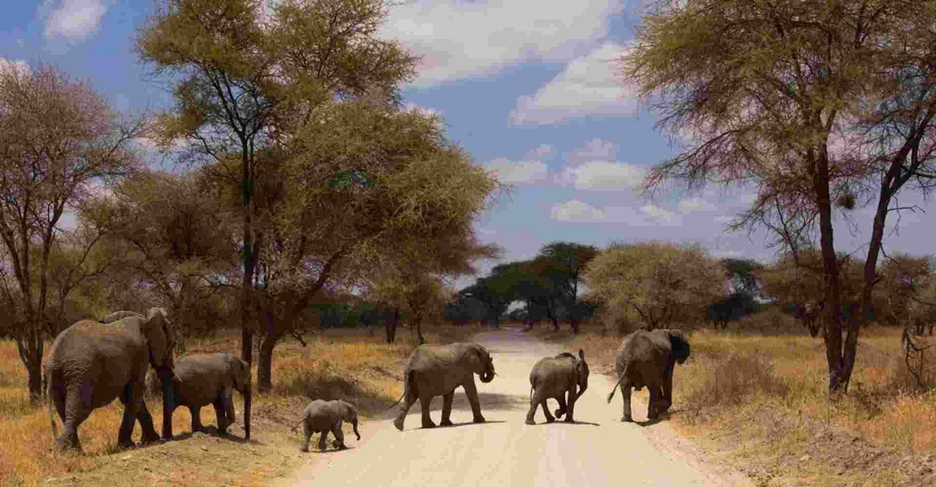 3 Day Weekend Safari from Arusha