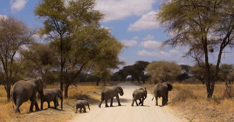3 Day Weekend Safari from Arusha trip - alternative tour available