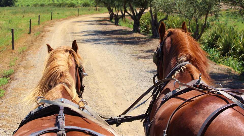 3 Day Wine & Dine Tour: Colchagua Valley - Chile Off Track - Chile - Image 2