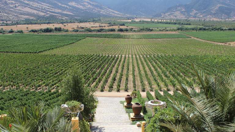 3 Day Wine & Dine Tour: Colchagua Valley - March 2026