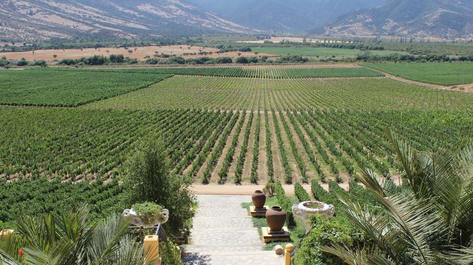3 Day Wine & Dine Tour: Colchagua Valley - Chile Off Track - Chile - Image 1