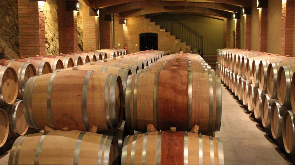 3 Day Wine & Dine Tour: Colchagua Valley - Chile Off Track - Chile - Image 8