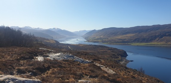 Image 2 of 7