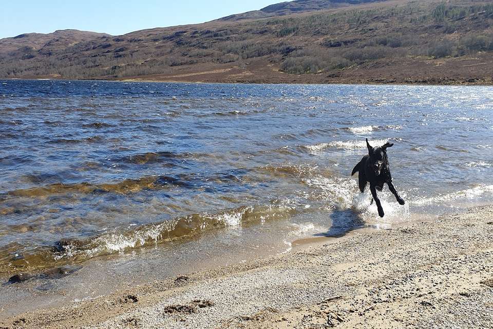 3 Days / 2 Nights - Ullapool Walking Adventure - Mckenzie Mountaineering - Scotland - Image 4