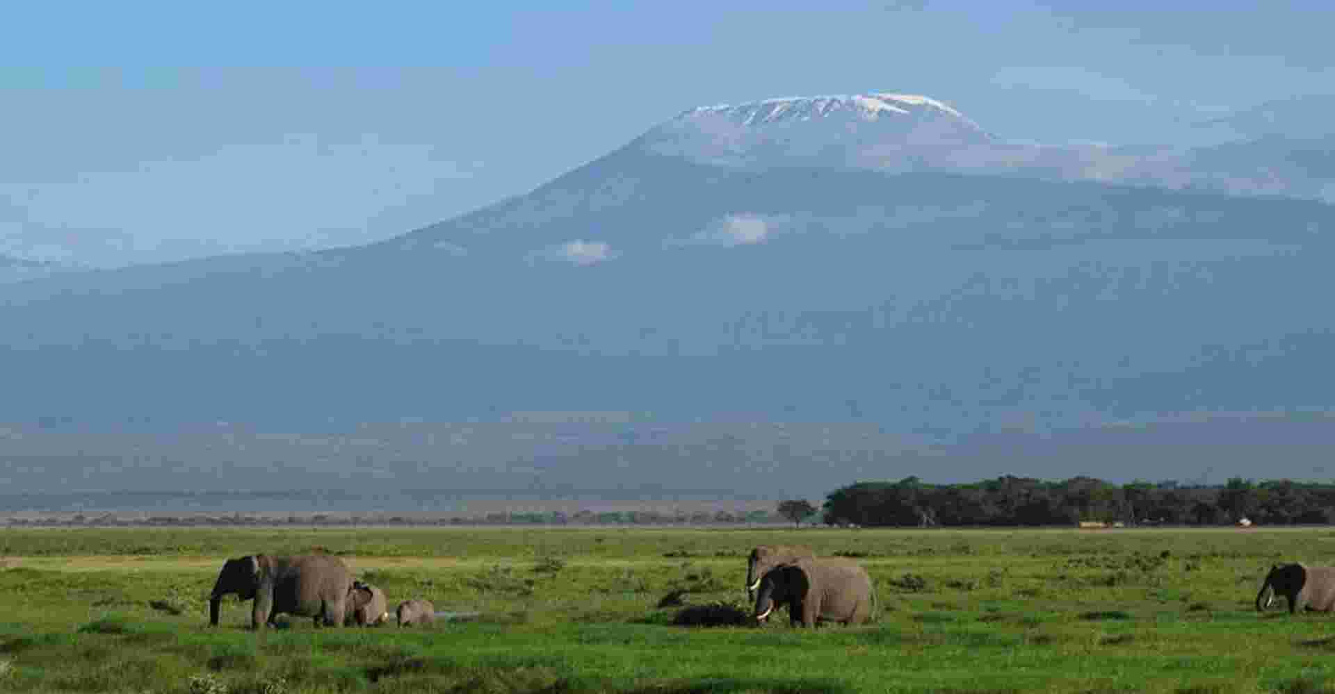 3 Days Amboseli Safari (Kili Base Tour)