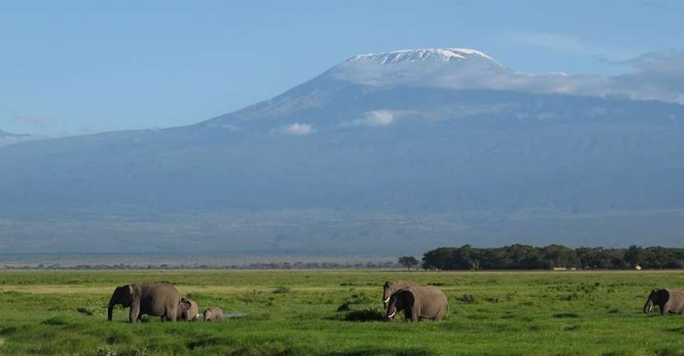 3 Days Amboseli Safari (Kili Base Tour) - Tropical Vacations - Kenya - Image 1
