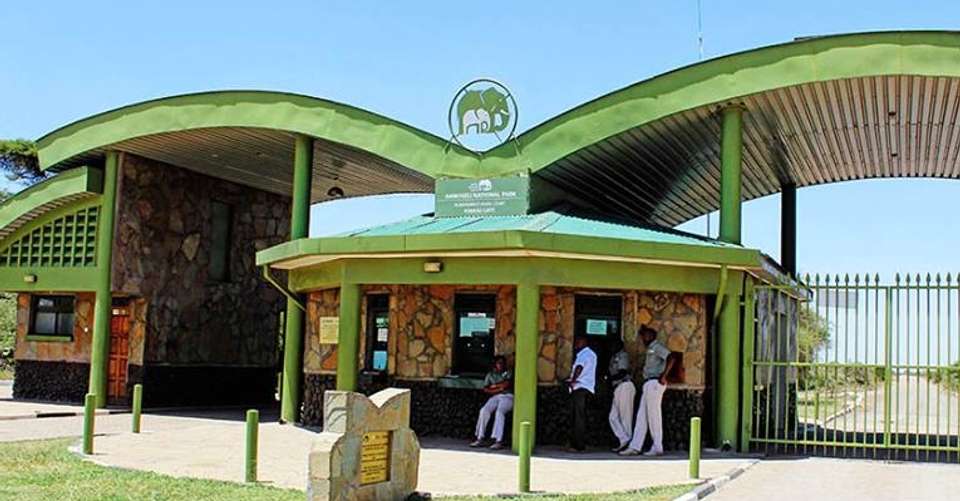 3 Days Amboseli Safari (Kili Base Tour) - Tropical Vacations - Kenya - Image 2