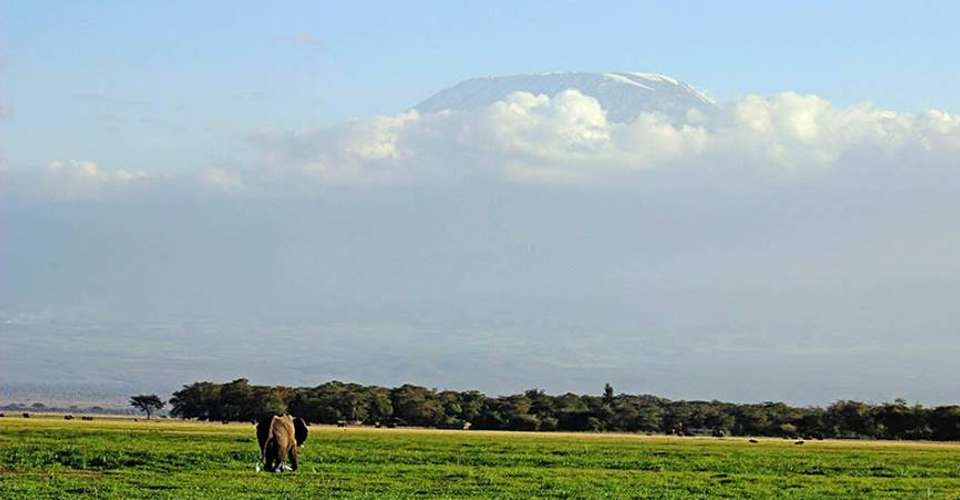 3 Days Amboseli Safari (Kili Base Tour) - Tropical Vacations - Kenya - Image 3