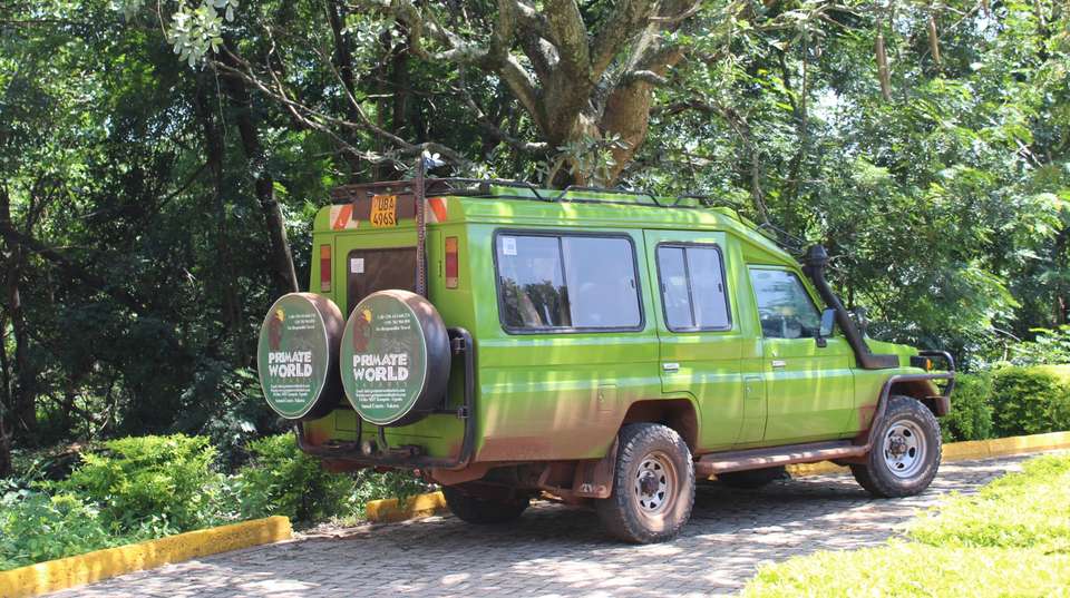  3 days Bwindi Gorilla Tracking Safari - Primate World Safaris (u) Ltd - Uganda - Image 8