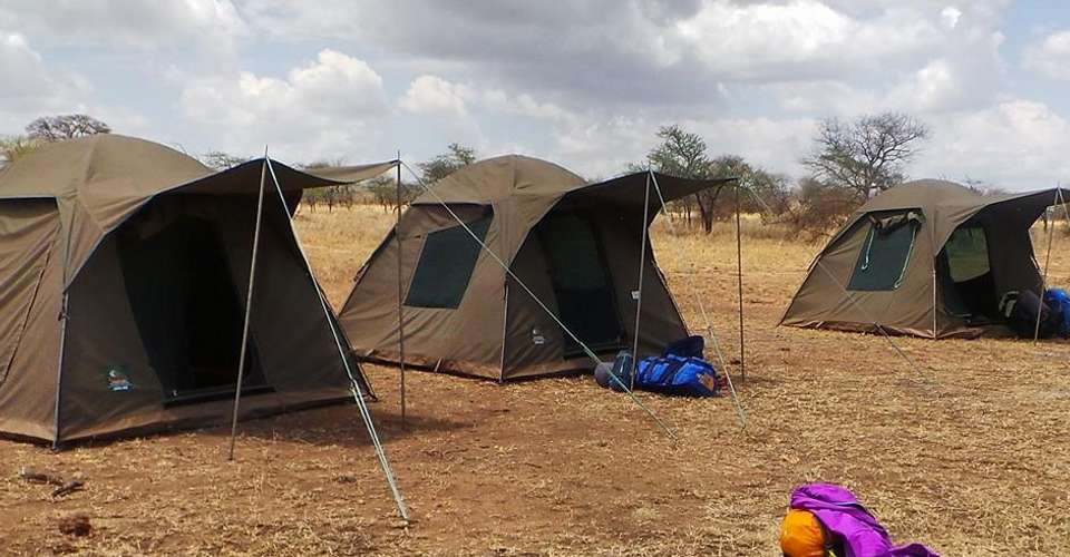 3 Days Camping Safari - Love And Dove Africa - Tanzania - Image 2