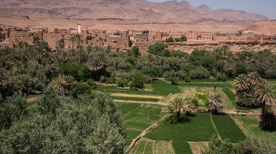 3 Day Desert Tour from Marrakech to Fes - Desertbrise Travel - Morocco - Image 3