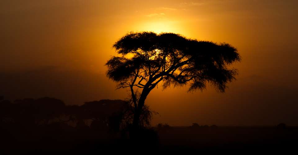 3 Days Maasai Mara Safari Trip - In2kenya Safari Watamu Kenya - Kenya - Image 6