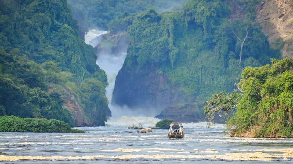 3 days Murchison Falls Tour - Primate World Safaris (u) Ltd - Uganda - Image 2