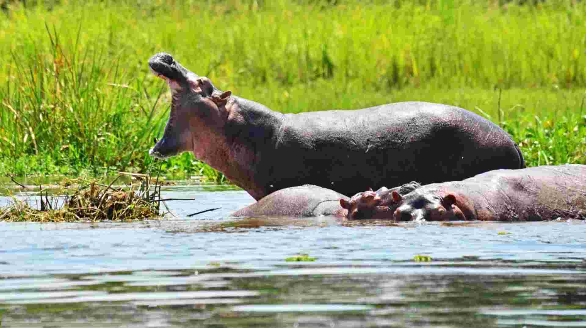 3 days Murchison Falls Tour
