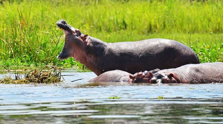 Uganda Tours for Young Adults: 3 days Murchison Falls Tour