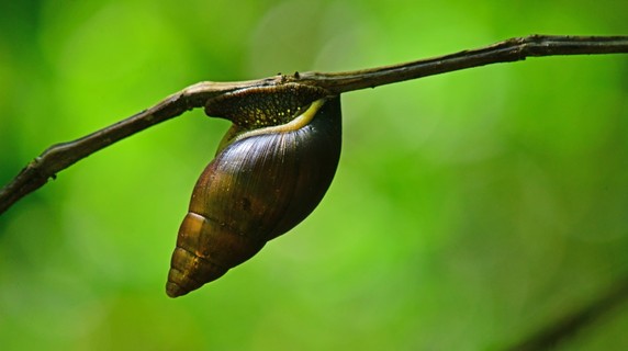 Image 5 of 10