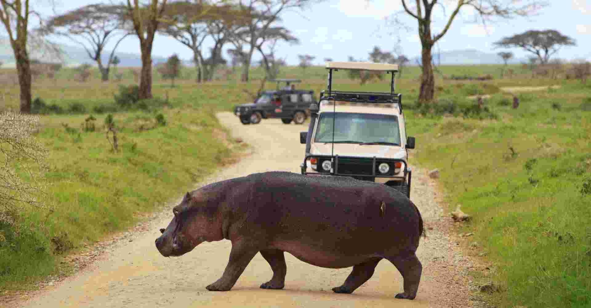3 Days Safari - Manyara, Ngorongoro and Tarangire