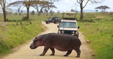 3 Days Safari - Manyara, Ngorongoro And Tarangire