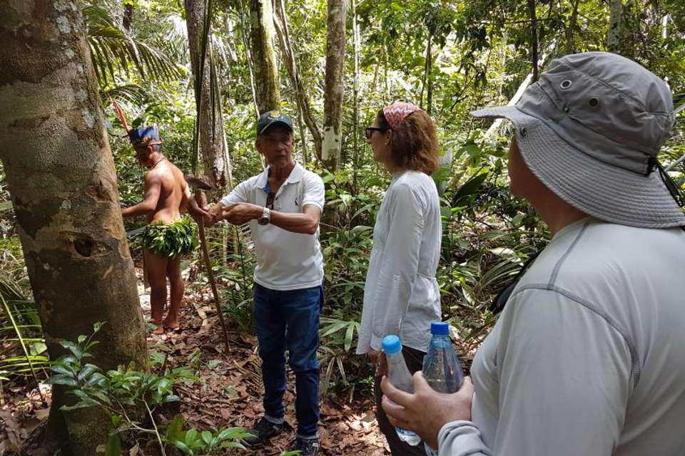3 Nights Package in Amazon Jungle with Fan - Tangol Tours - Brazil - Image 7