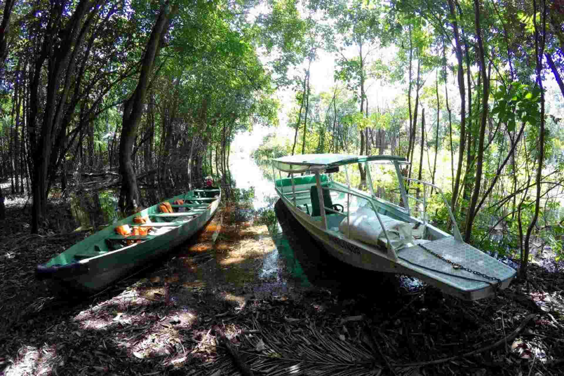 3 Nights Package in Amazon Jungle with Fan