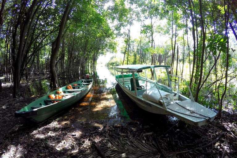 3 Nights Package in Amazon Jungle with Fan trip - alternative tour available