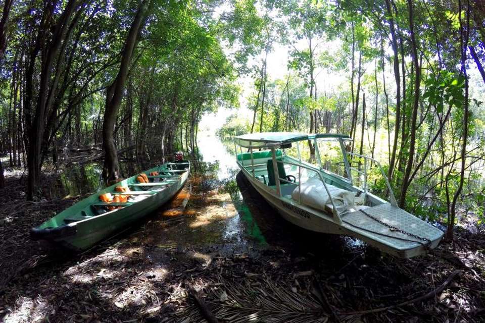 3 Nights Package in Amazon Jungle with Fan - Tangol Tours - Brazil - Image 1