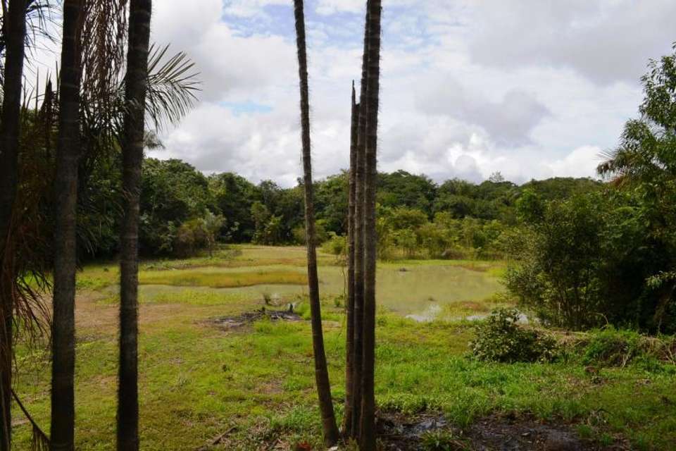 3 Nights Package in Amazon Jungle with Fan - Tangol Tours - Brazil - Image 6