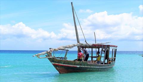 Windhoek Wildlife Tour: 34-day Zanzibar To Cape Town Accommodated