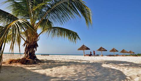 Windhoek Wildlife Tour: 35-day Cape Town To Zanzibar Accommodated