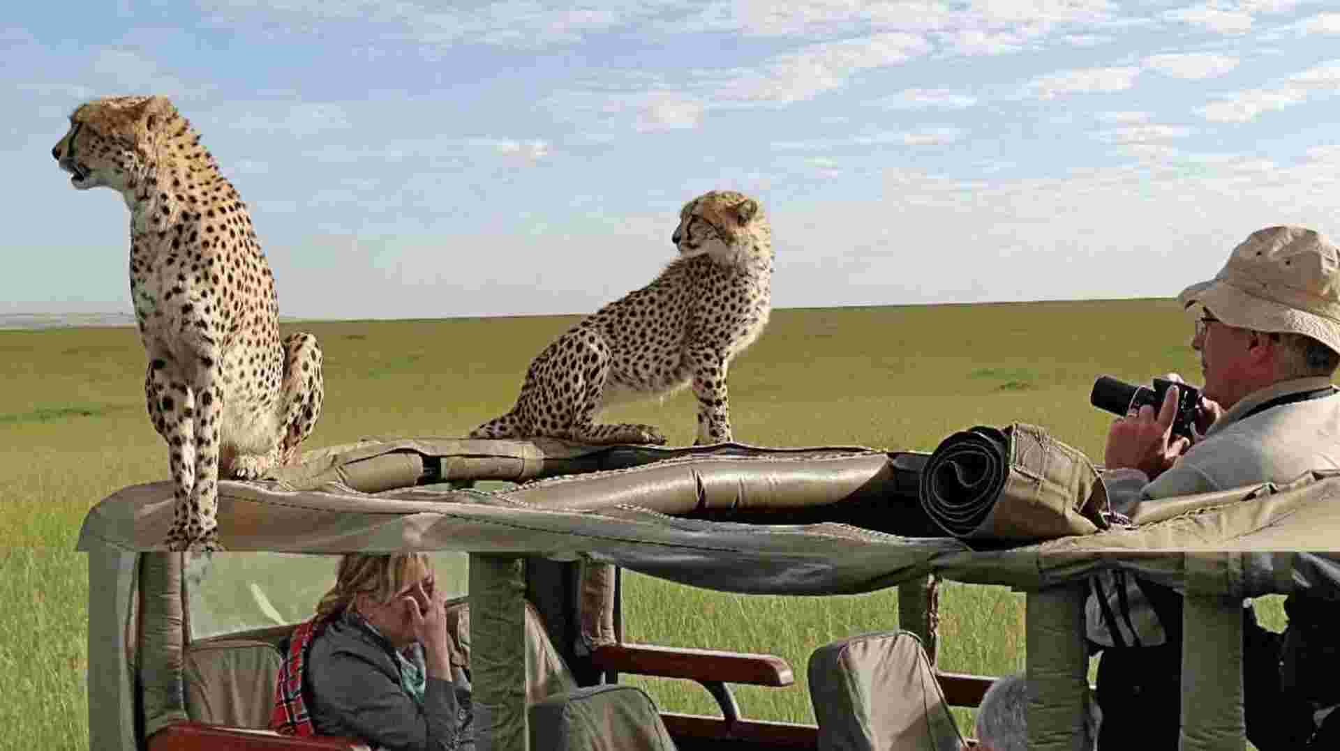 3 Days Masai Mara Camping safari on 4x4 landcruiser